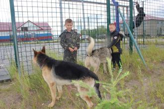 Этнокультурные механизмы пространственного развития Севера